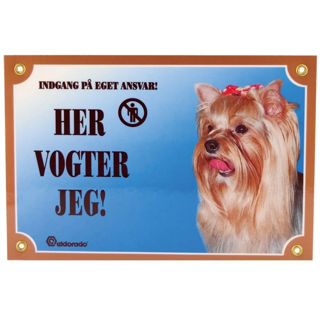 Her vogter jeg skilt med Yorkshire Terrier